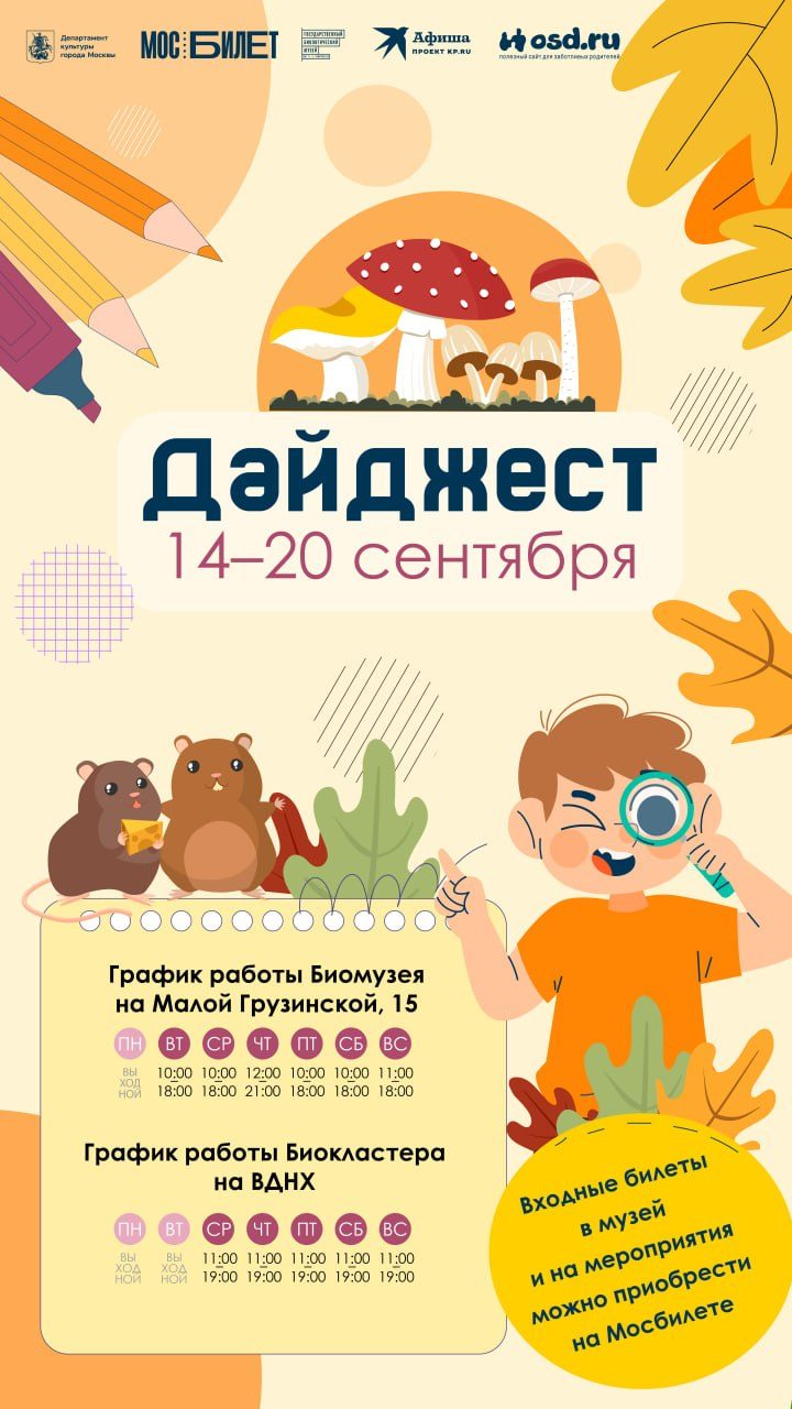 Афиша: Занятие «Смотри в оба!»