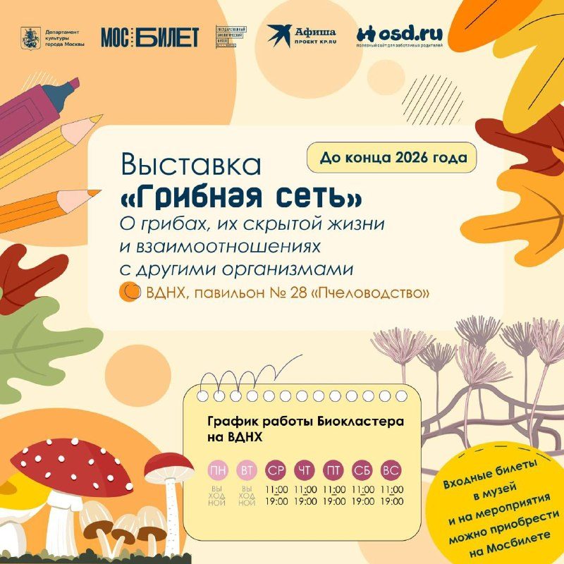 Афиша: Занятие «Зоопарк в капле воды»