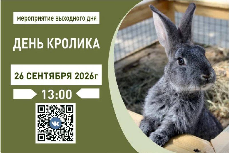 Афиша: День кролика, лекция и общение с контактными животными
