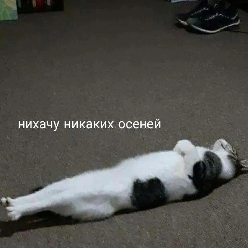 Афиша: Лучшие комики с самыми свежими шутейками