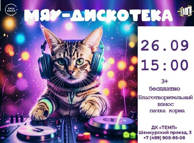 Афиша: МЯУ-дискотека