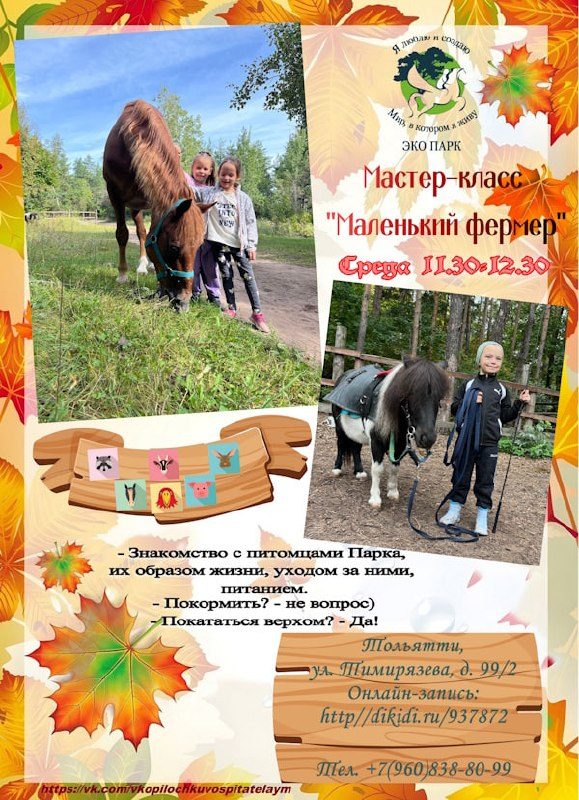 Афиша: Мастер-класс "Маленький фермер"