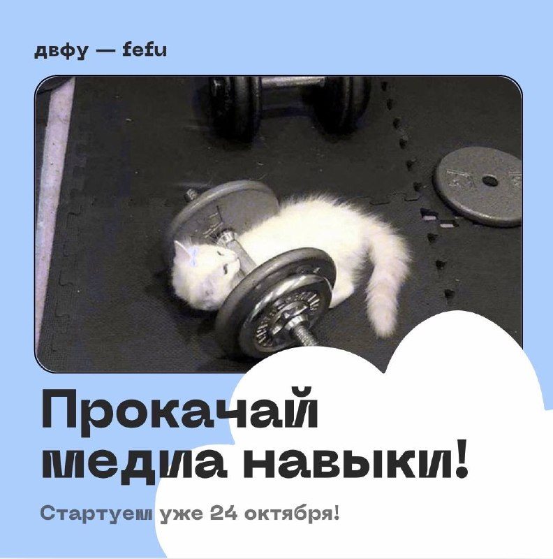 Афиша: Медиакачалка
