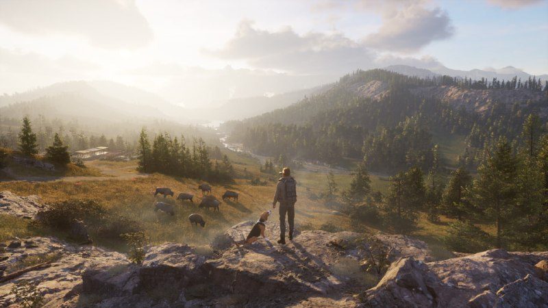 Афиша: Way of the Hunter 2