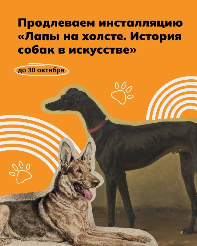 Афиша: Инсталляция «Лапы на холсте»