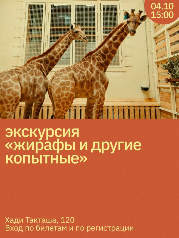 Афиша: Экскурсия «Жирафы и другие копытные»