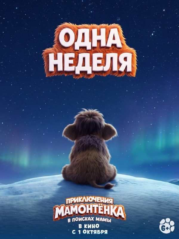 Афиша: Пушистик