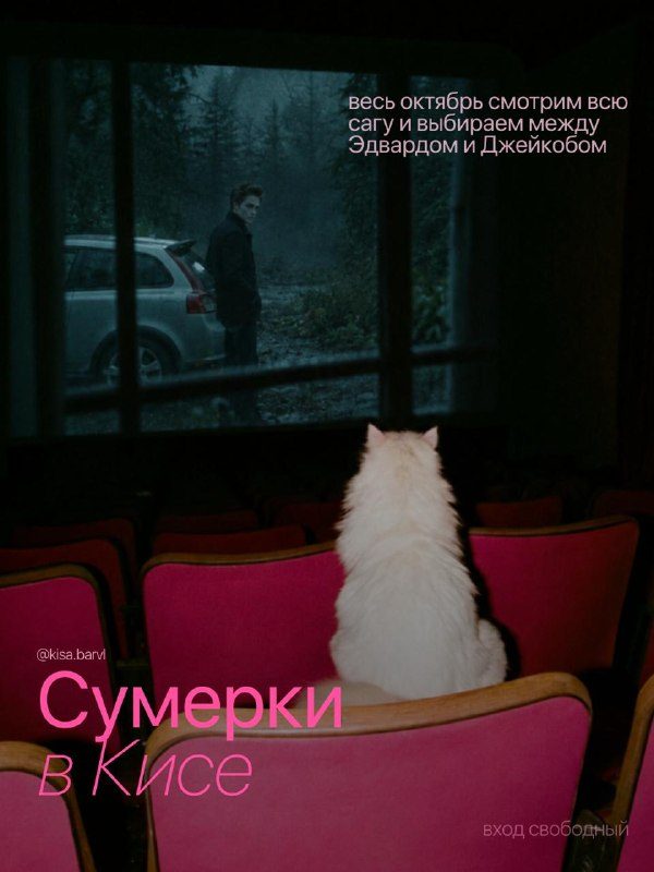 Афиша: Просмотр фильма «Сумерки»