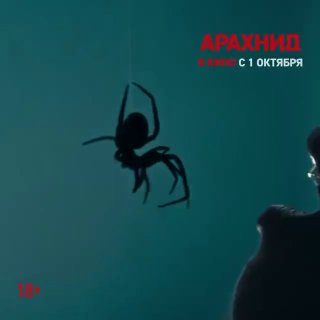 Афиша: Фильм Арахнид
