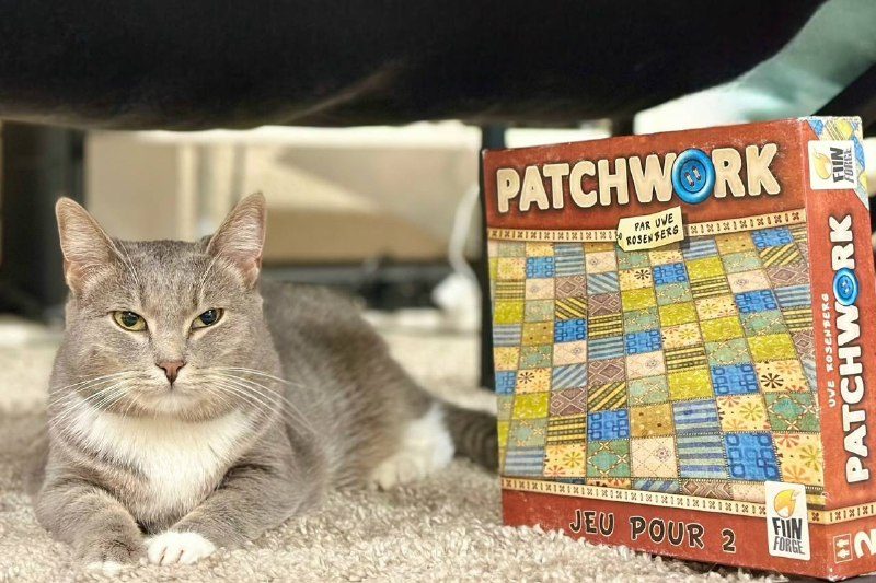 Афиша: Игротека (настольная игра Patchwork)