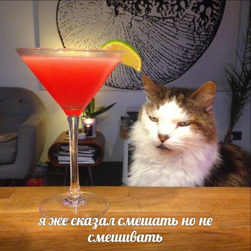 Афиша: НЕГРОНИ ФЕСТ