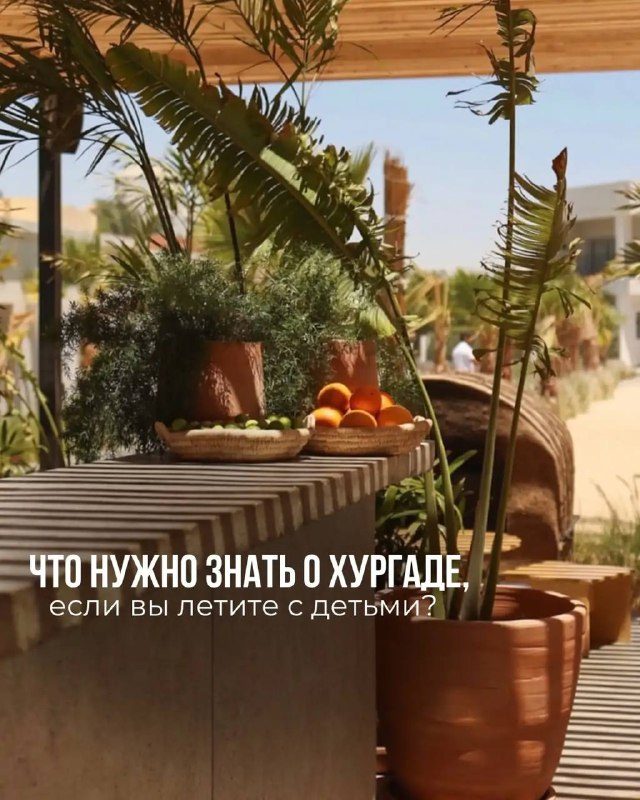 Афиша: Тур в Serenity Alpha Beach (Ex. Serenity Makadi Beach) 5*