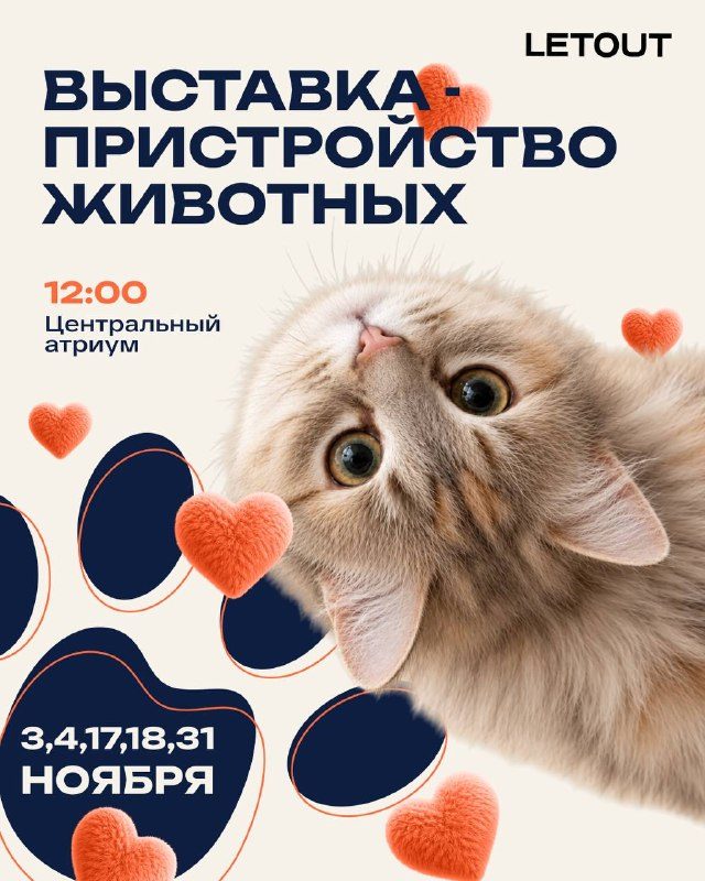 Афиша: Выставки-пристройства животных совместно с проектом «Доброхвост»