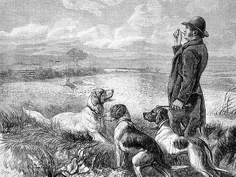 Афиша: Презентация книги «Будни британских охотников (1770-1870)»