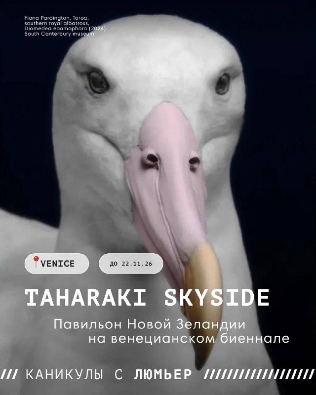 Афиша: Fiona Pardington — Taharaki Skyside