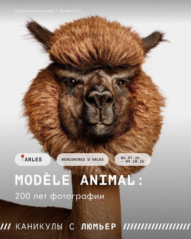 Афиша: Modèle animal