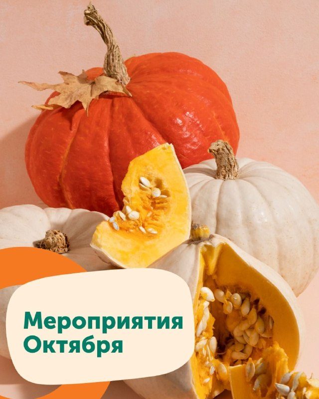 Афиша: День бренда салона оптики «Дилор»