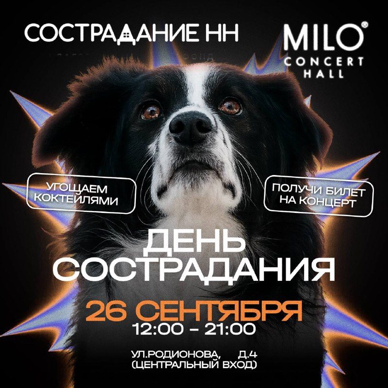 Афиша: День Сострадания