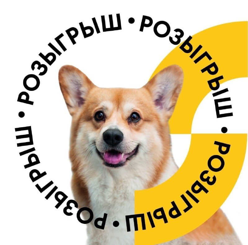 Афиша: Зоомир