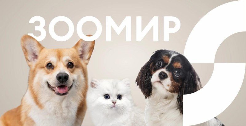 Афиша: Зоомир