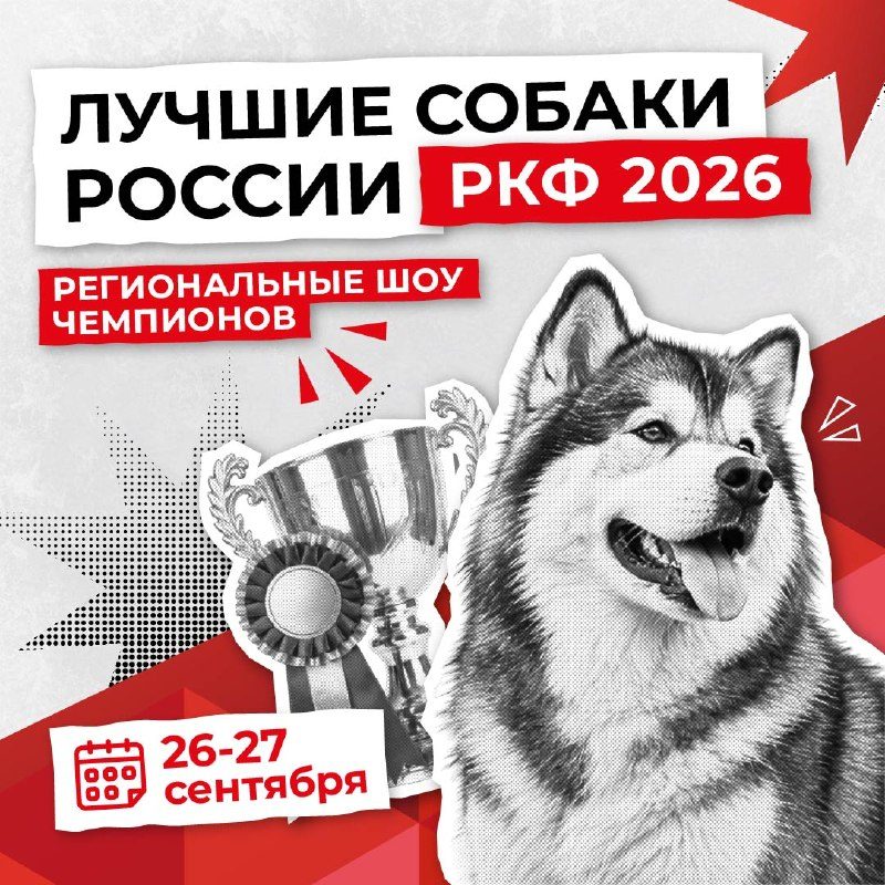 Афиша: Лучшие собаки России / РКФ 2026 (Региональные шоу чемпионов)