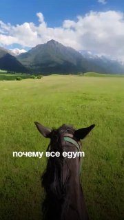Афиша: Поездка в Домбай
