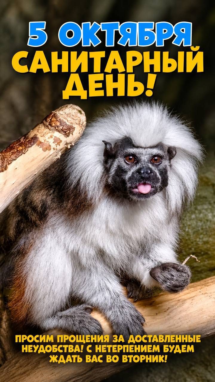 Афиша: Подводный мир