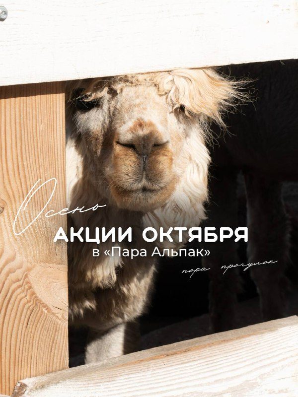 Афиша: Бесплатный вход для учителей в честь Дня учителя
