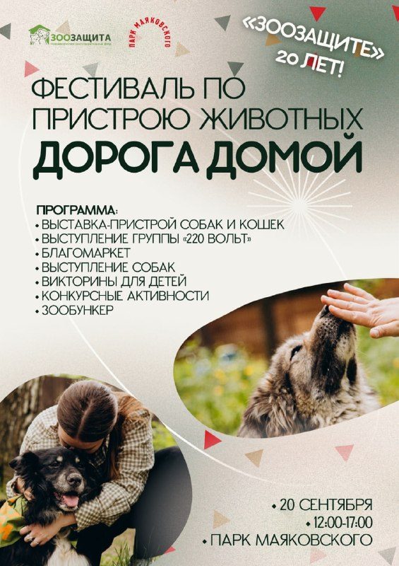 Афиша: Фестиваль по пристрою животных «Дорога домой»