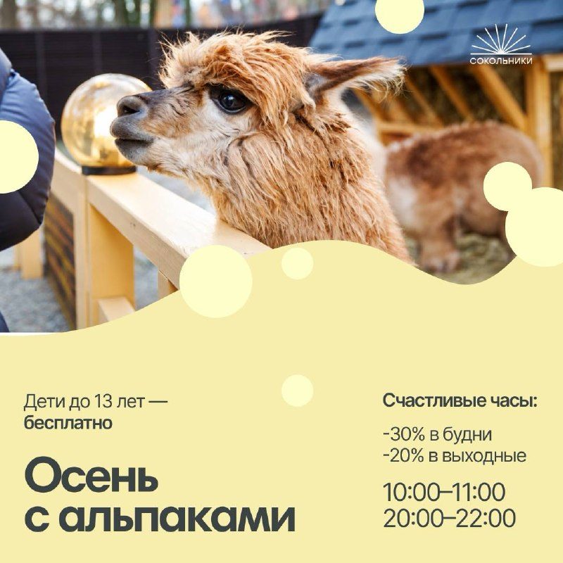 Афиша: Счастливые часы в Альпака Парке