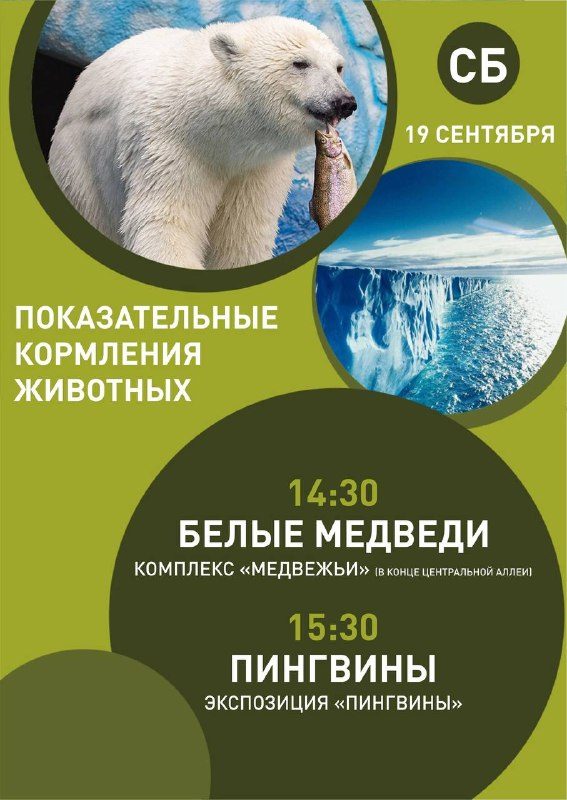Афиша: Показательные кормления