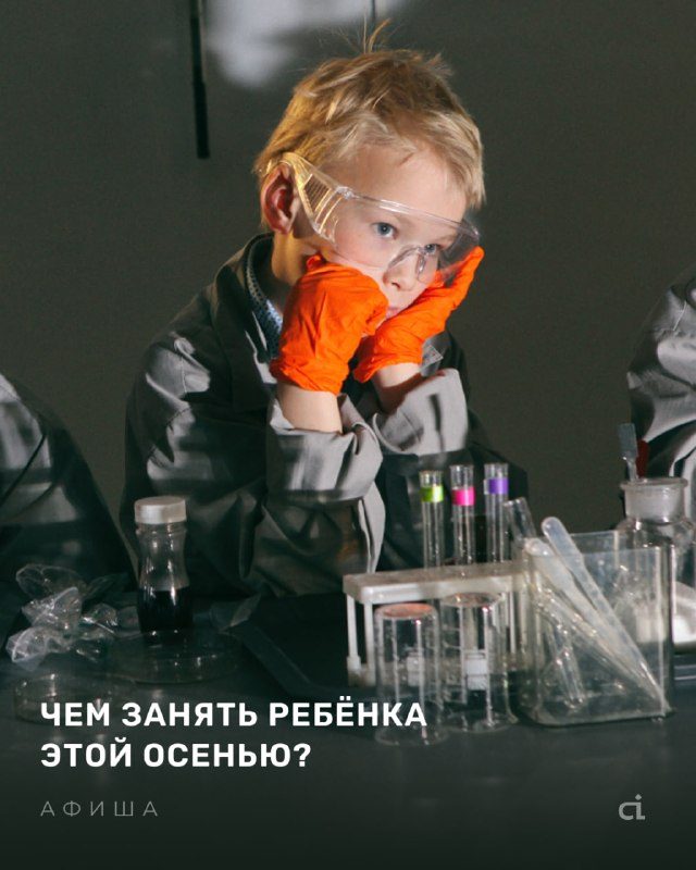Афиша: Просто физика [5–6 лет]