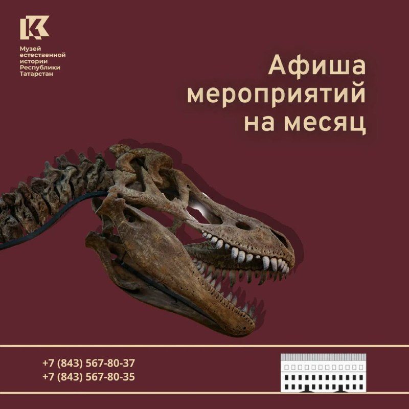 Афиша: Экскурсия «Путешествие в затерянные миры»