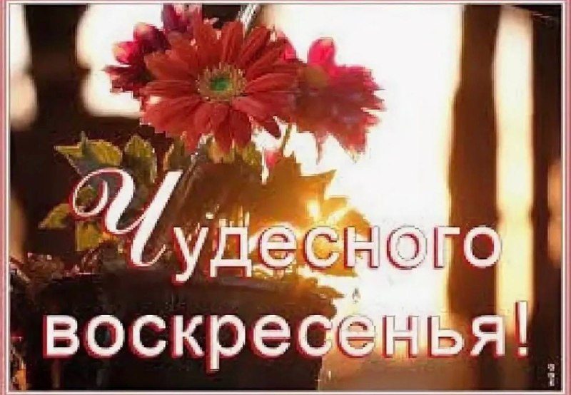 Афиша: Лёша Жигулевский и Пиксель