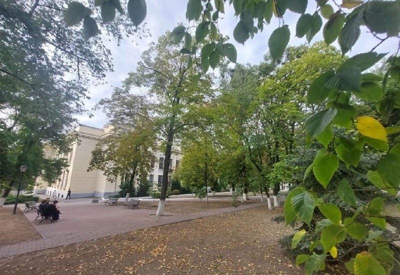 Афиша: Политехнический пикник
