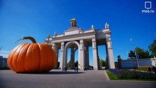 Афиша: Парад костюмов на воде