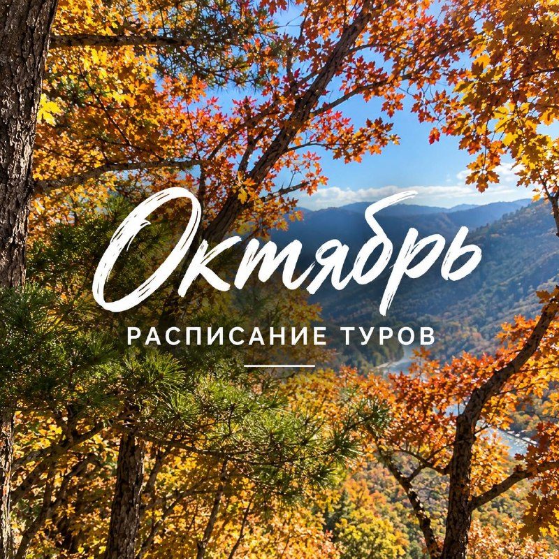 Афиша: Вкусный Владивосток