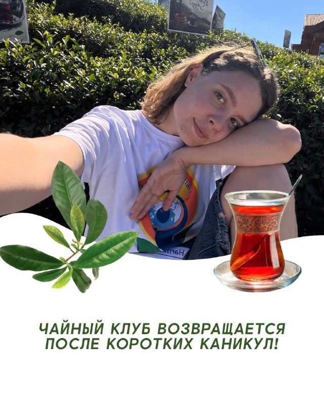 Афиша: Дегустация турецкого зеленого чая в формате китайской чайной церемонии